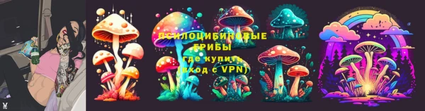 ГАЛЛЮЦИНОГЕННЫЕ ГРИБЫ Богородск