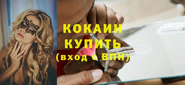 стаф Богданович