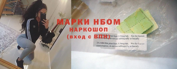 стаф Богданович