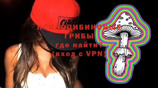 2c-b Богородицк