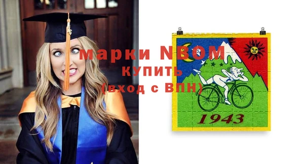 стаф Богданович